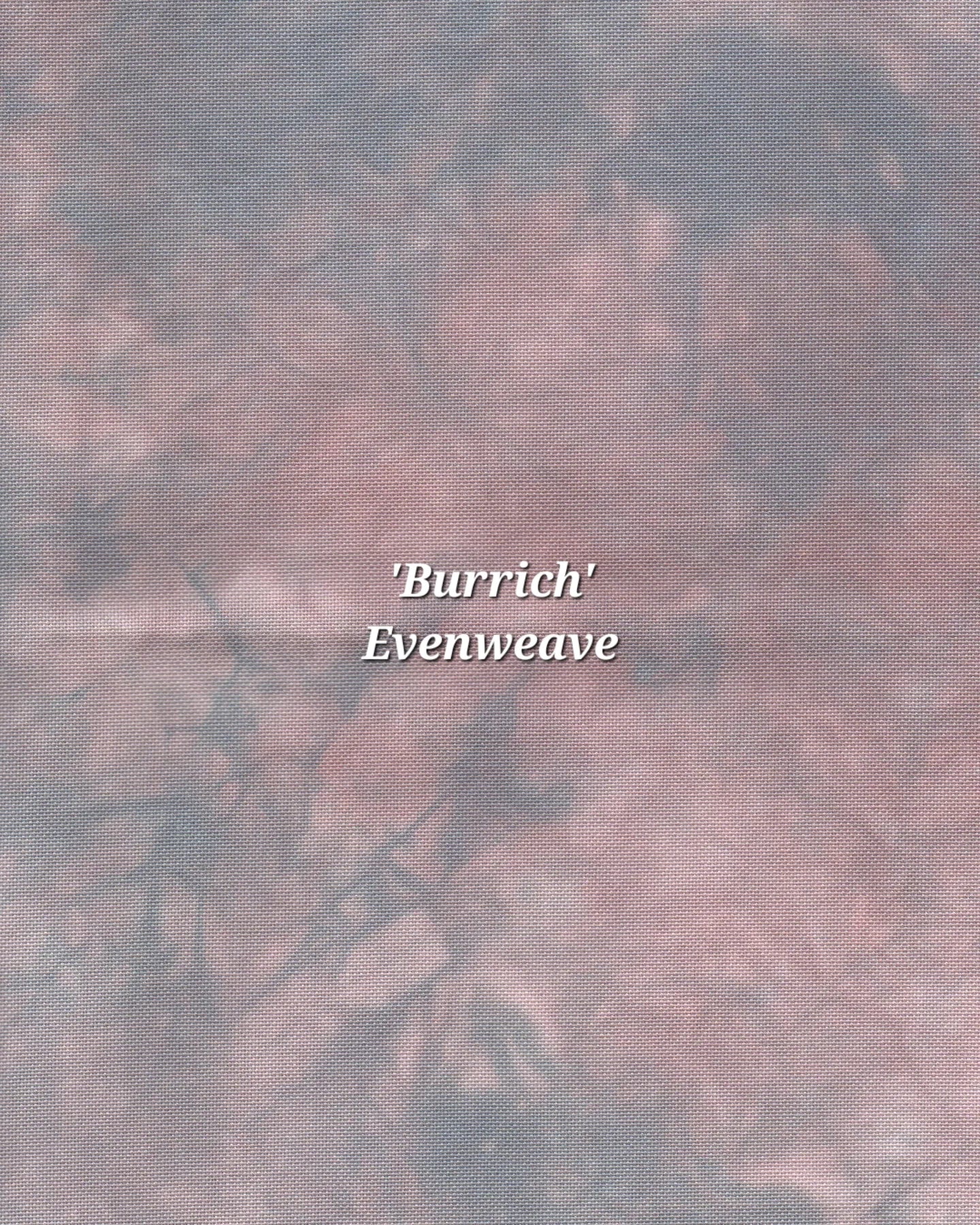 Burrich