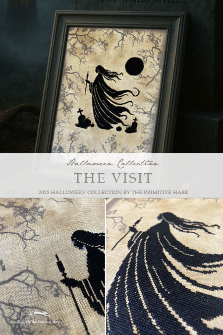 The Visit