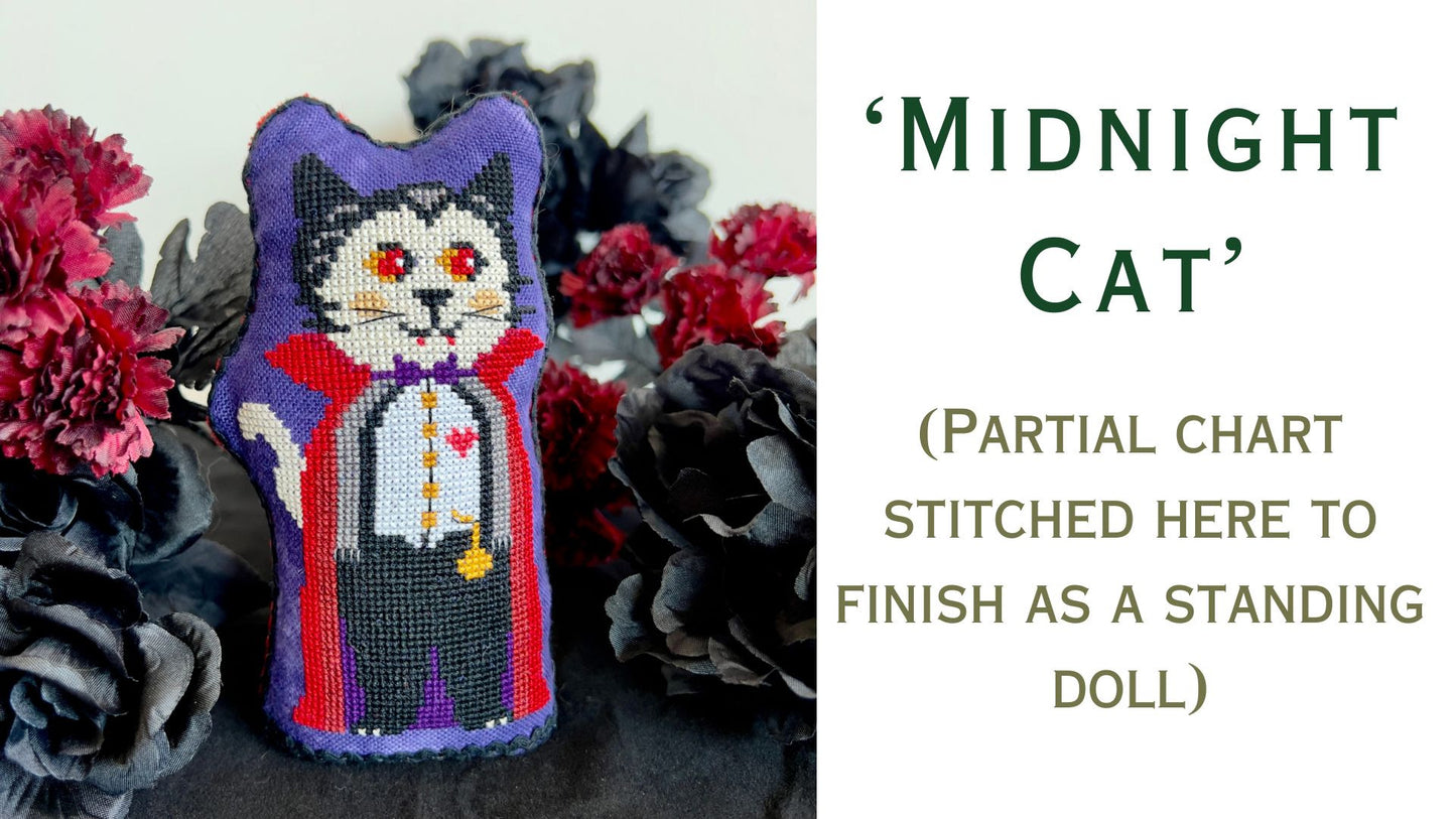 Midnight Cat