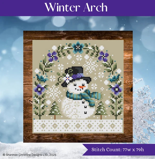 Winter Arch