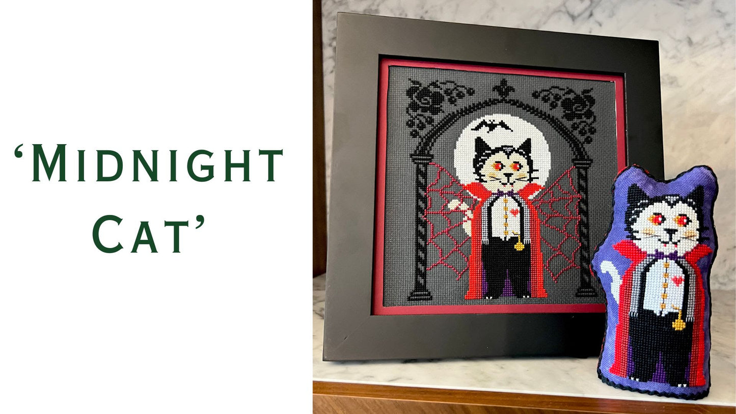 Midnight Cat
