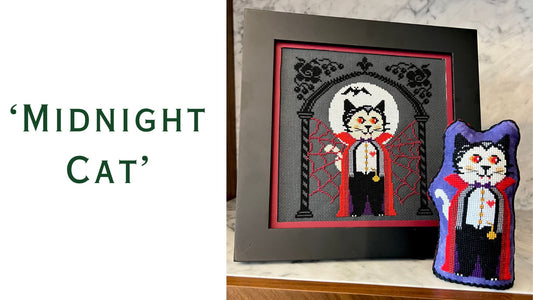 Midnight Cat
