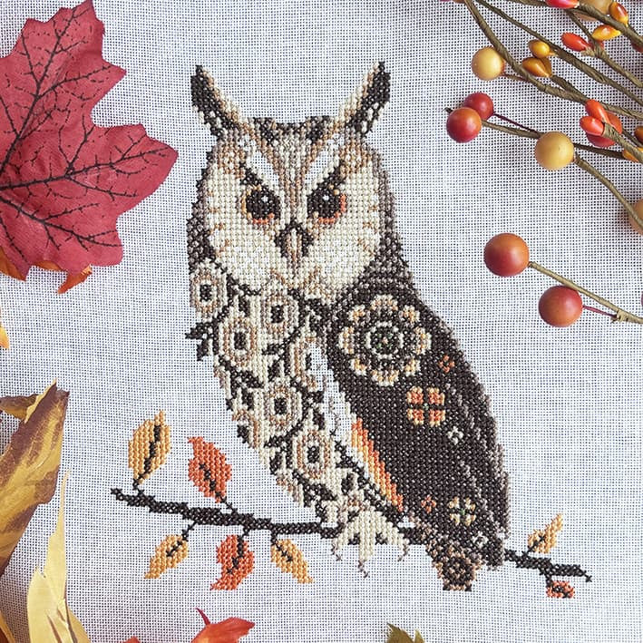 Long Eared Owl