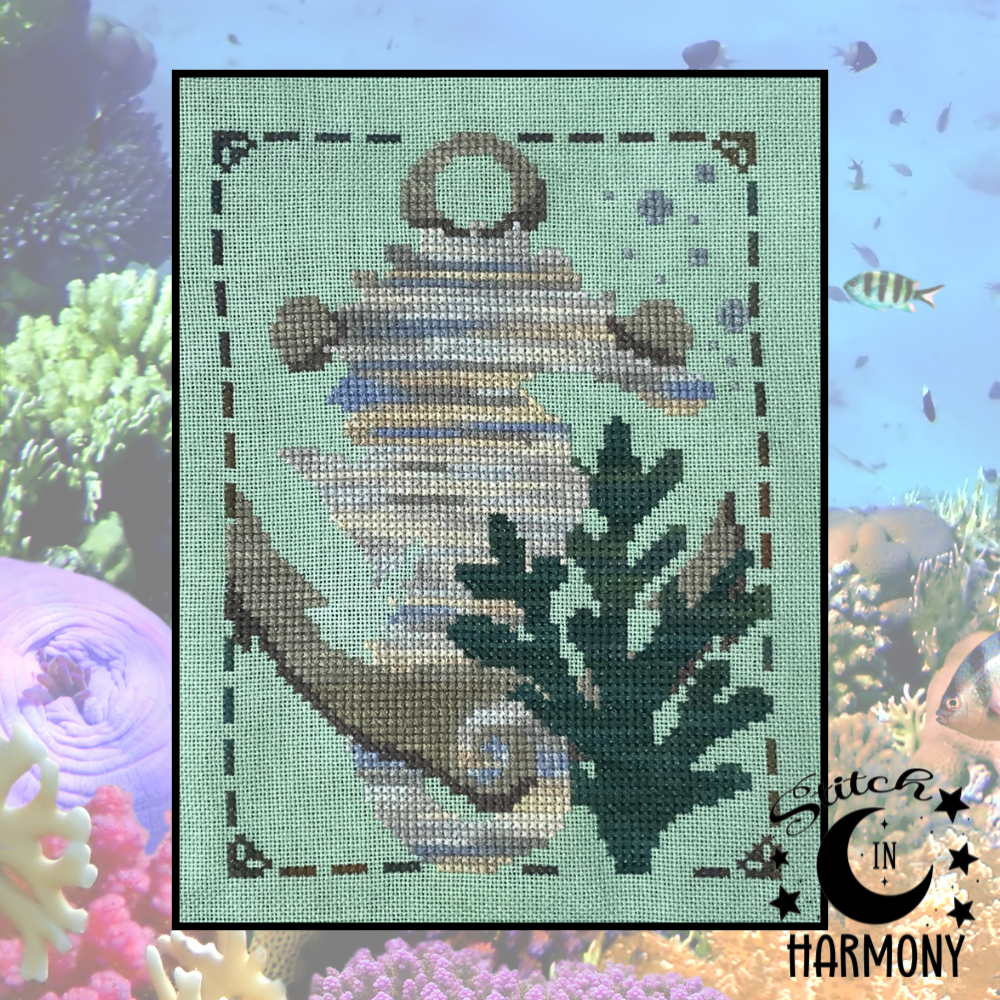 Reef Dancer